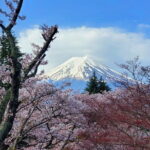 Guided 3 Days Tour Tokyo, Mt. Fuji and Hakone GREEN NUMBER PLATE - Why This Tour Works for Travelers