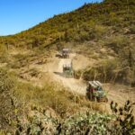 Guided Arizona Desert Tour by UTV - Centipede Tour - Pricing and Value