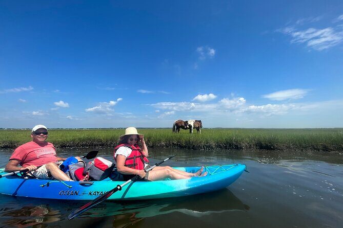 Guided Assateague Kayaking and Wildlife Discovery Tour - Practical Tips for Your Assateague Kayaking Adventure