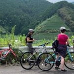 Guided Bike Tour to a Green Tea Farm in Shizuoka (not e-bikes) - What Makes This Tour Stand Out?