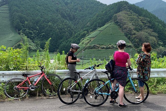 Guided Bike Tour to a Green Tea Farm in Shizuoka (not e-bikes) - What Makes This Tour Stand Out?