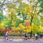 Guided Central Park Bike Tour 2 Hours - What to Expect During the Ride