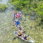 Guided Clear Kayak Eco-Tour Near Key West - What’s Included and What to Bring