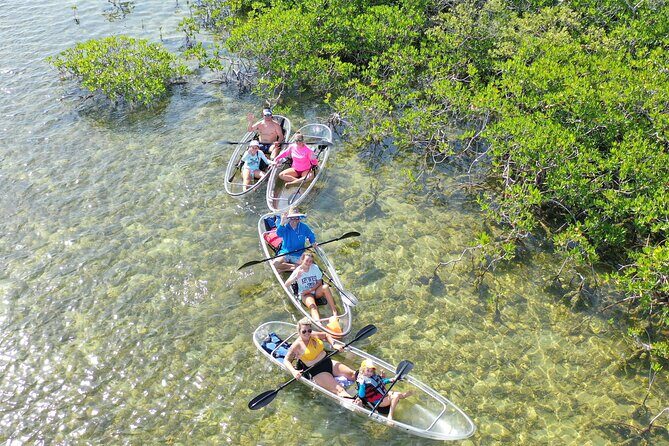 Guided Clear Kayak Eco-Tour Near Key West - What’s Included and What to Bring