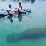 Guided Clear Kayak Eco-Tour of Jupiter - Why This Tour Offers Great Value