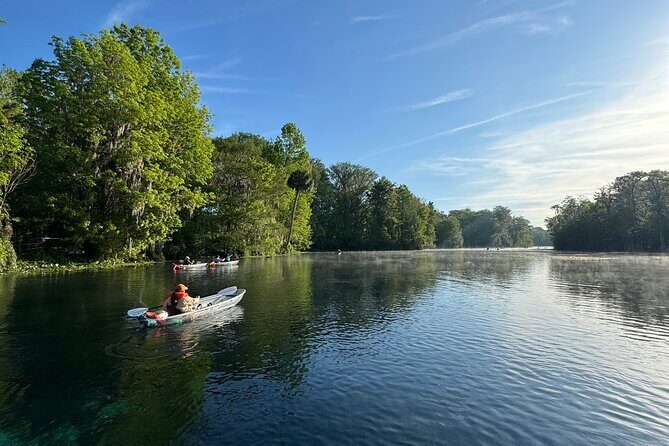 Guided Clear Kayak Tours on the Silver River - Who Should Consider This Tour?