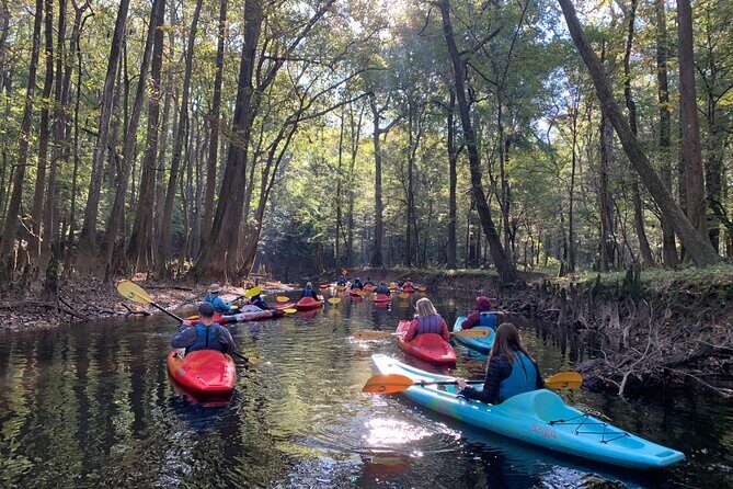 Guided Congaree National Park Kayak Tour - Detailed Review of the Guided Congaree National Park Kayak Tour