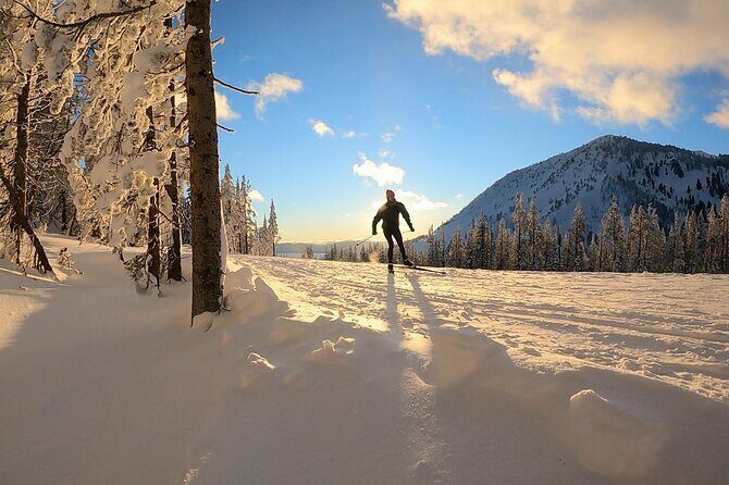 Guided Cross Country Skiing at Lake Tahoe - Analyzing the Value