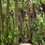 Guided Day Hike Through Florida's wild Backcountry. - Why This Tour Is a Great Choice
