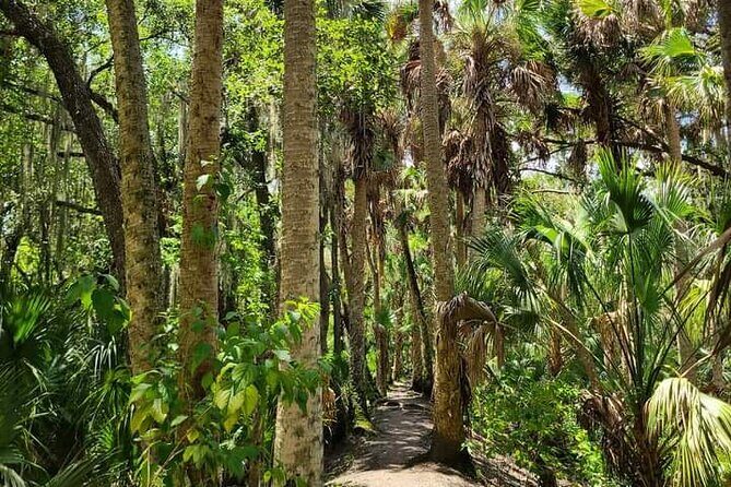 Guided Day Hike Through Florida's wild Backcountry. - Why This Tour Is a Great Choice
