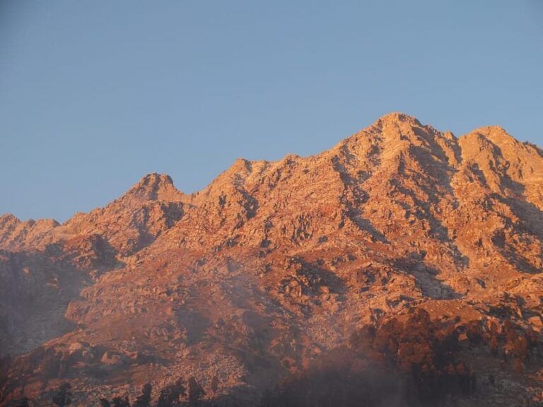 Guided Day Hike to Birni Devi Temple from Palampur - Who Should Consider This Tour?