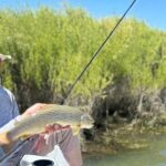 Guided Fly Fishing Float Trip | San Juan River - Why This Tour Offers Great Value