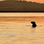 Guided full-day Big Sur hiking adventure with lunch - Final Thoughts: Is It Worth It?