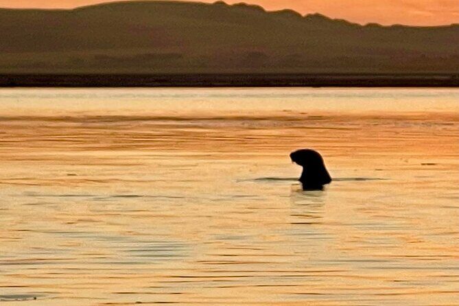 Guided full-day Big Sur hiking adventure with lunch - Final Thoughts: Is It Worth It?