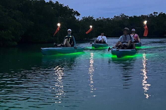 Guided Glow LED Kayak Sunset Activity in Bonita Springs - FAQ