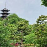 Guided History & Nature Exploration in the Yokohama Hill Area - Who Will Enjoy This Tour?