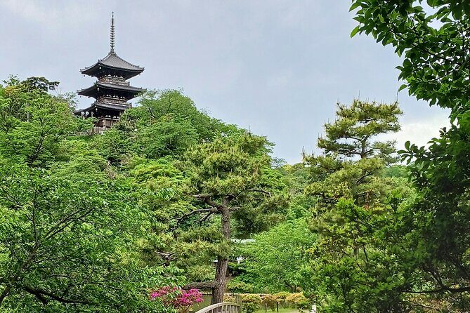 Guided History & Nature Exploration in the Yokohama Hill Area - Who Will Enjoy This Tour?