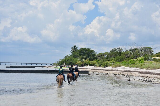 Guided Horseback Riding on The Pristine Waters of Miami Florida - Key Points