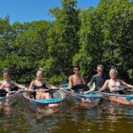 Guided Island EcoTour: CLEAR/Standard Kayak, SUP - Bonita Springs - Who Will Love This Tour?