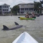 Guided Kayak Dolphin Eco Tour in Pelican Bay - Final Thoughts: Is This Tour Right for You?