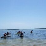 Guided Kayak EcoTour of Beautiful Shell Key Preserve - Who Should Consider This Tour?