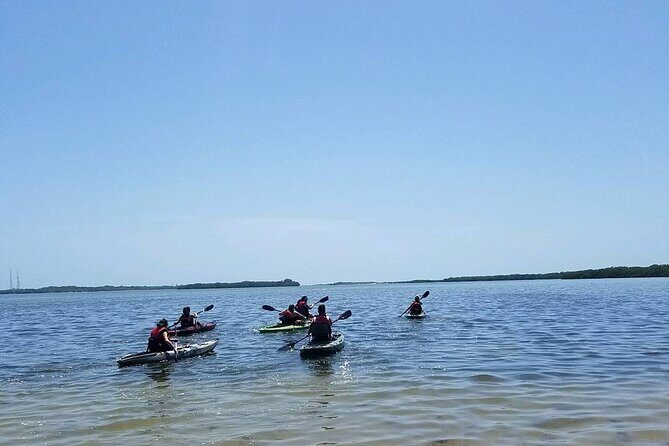Guided Kayak EcoTour of Beautiful Shell Key Preserve - Who Should Consider This Tour?