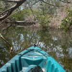 Guided Kayak Experience at EG Simmons Park - The Experience from Real Travelers’ Perspectives
