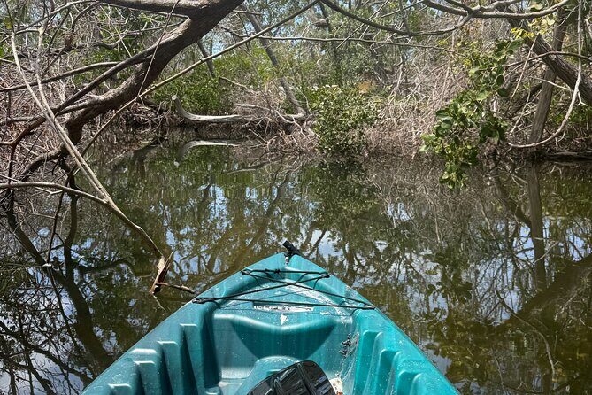 Guided Kayak Experience at EG Simmons Park - The Experience from Real Travelers’ Perspectives