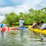 Guided Kayak Mangrove Ecotour in Rookery Bay Reserve, Naples - FAQs