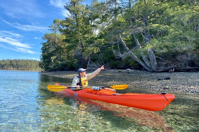 Guided Kayak Tour To Hope Island State Park - The True Value: Why This Tour Stands Out
