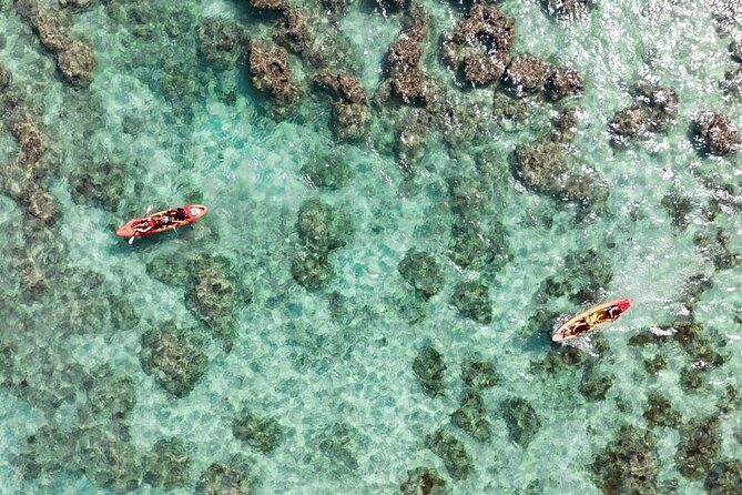 Guided Kayak Tour to Kailuas Twin Islands - A Deep Dive into the Kailua Twin Islands Kayak Experience