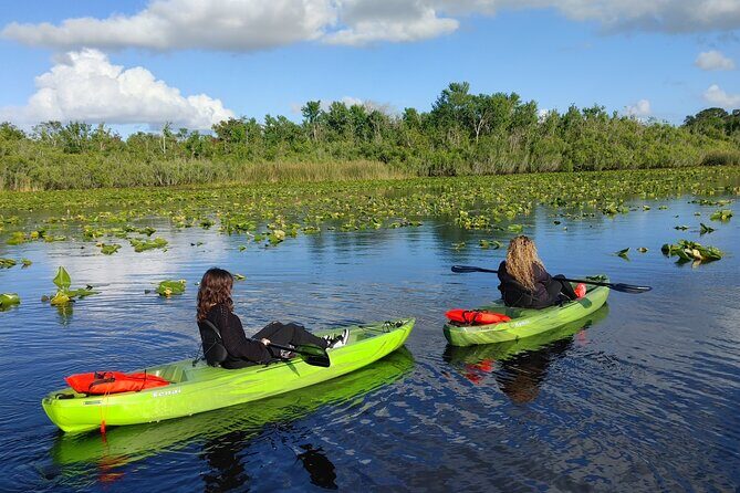 Guided Kayaking Manatee Tour near Orlando - Authentic Wildlife Encounters