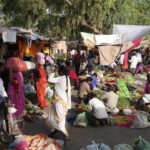 Guided Morning E-Rickshaw Ride with Food Tasting - The Sum Up: Is It Worth It?