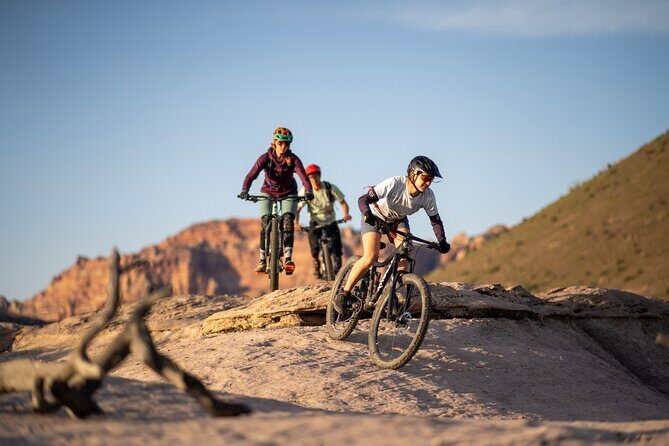 Guided Mountain Bike Tours - Zion - Key Points