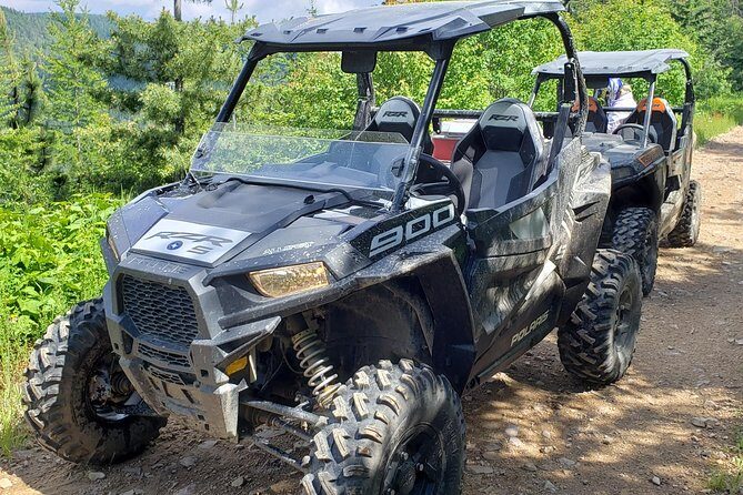 Guided Off-Road Vehicle Tours in North Idaho Forests