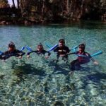 Guided Small Group Manatee Snorkeling Tour with In-Water Photographer - The Value of This Experience