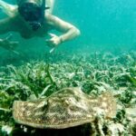Guided Snorkel Experience, Free Videos in West Palm Beach - Final Thoughts