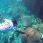 Guided Snorkeling Trip - The Review Spectrum: What Travelers Are Saying