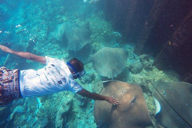 Guided Snorkeling Trip - The Review Spectrum: What Travelers Are Saying