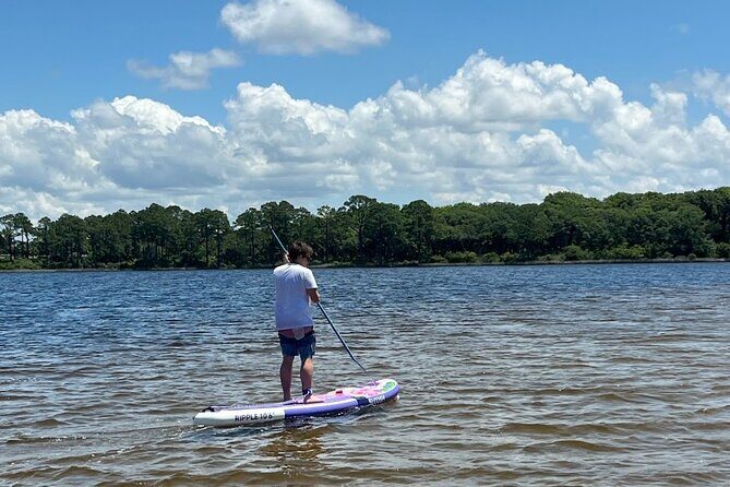 Guided Stand up Paddle Activity - A Deep Dive into the Eco Paddle Tour Experience