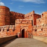 Guided Tour of Taj Agra Fort & Wildlife SOS from Jaipur transfers - Discovering the Magic of the Taj Mahal and More