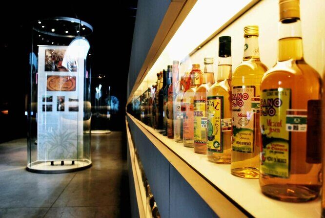 Guided Tour to the Tequila and Mezcal Museum - Frequently Asked Questions (FAQs)