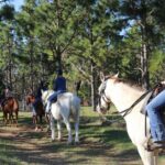 Guided Two Hour Horseback Trail Ride in Central Florida - Final Thoughts: Is This Trail Ride Worth It?