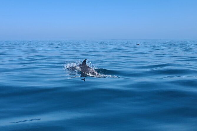 Guided Two hours Jetski Coastal Tour - What the Tour Covers and Its Highlights