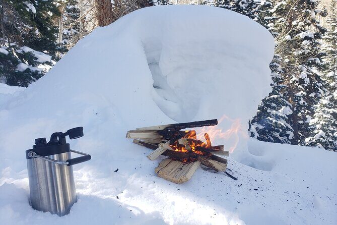 Guided Uinta Forest 3-Mile Hike w/fire + Lunch/charcuterie Stop - The Bottom Line: Is It Worth It?