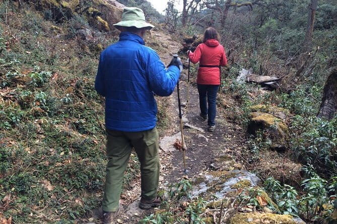 Guided Village walk with Stories in Dharamsala - The Sum Up