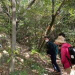 Guided Walking Ohenro Pilgrimage Experience in Dogo Hot Spring - Why This Tour Offers Real Value