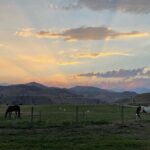 Guided Walking Tour of Methow Meadows and Meet the Animals - Why This Tour Stands Out
