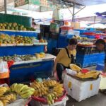 Guided Walking Tour to experience life of a local Hainanese - Tasting Local Snacks