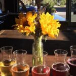 Guided Wine Tasting in Sebastopol with Local Sommelière - Detailed Review of the Guided Wine Tasting Experience